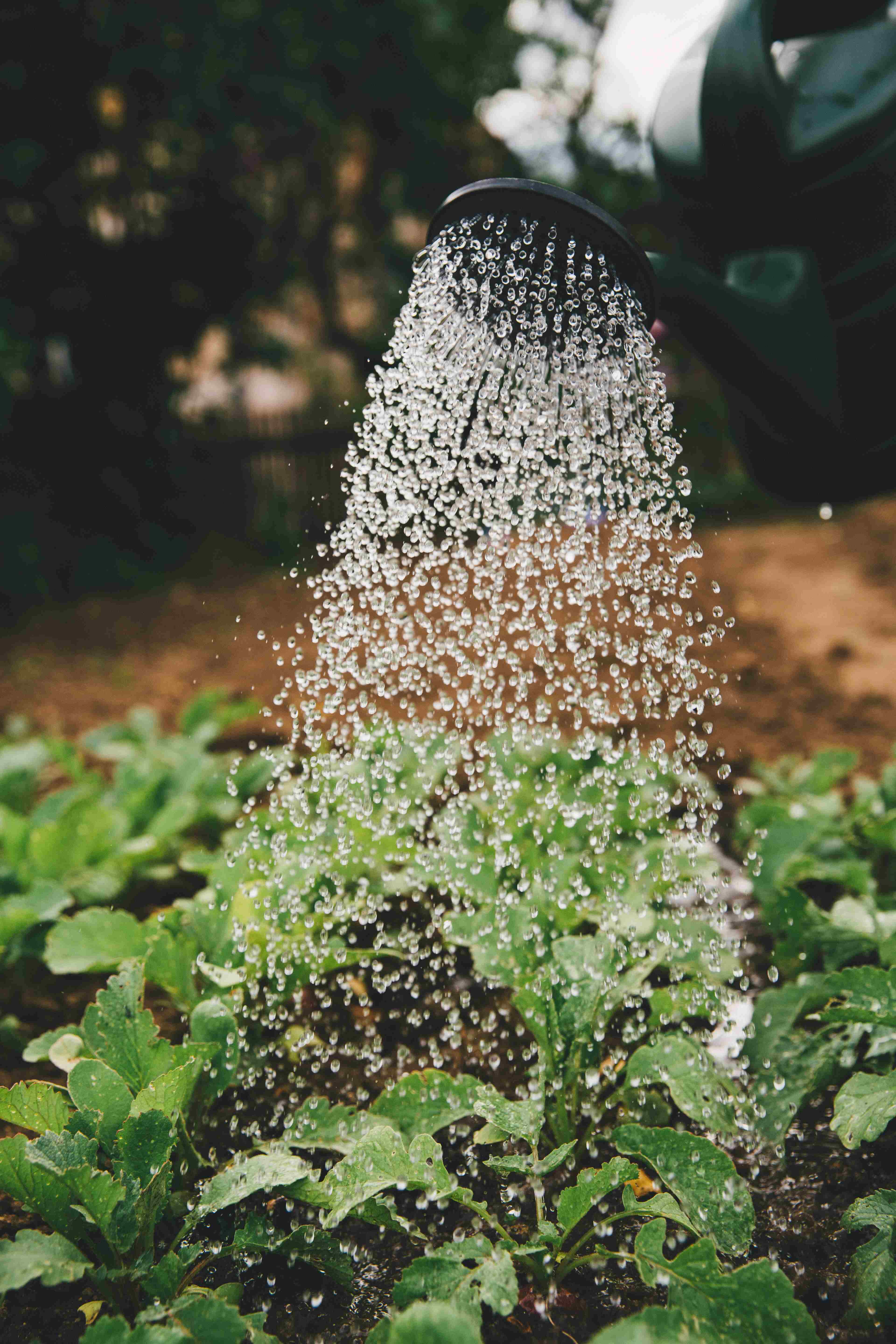 Water for Irrigation and Livestock